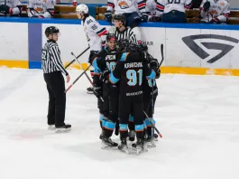 «Динамо-Шинник» прервал серию поражений в матче со «Стальными лисами»