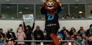 Минское «Динамо» вернулось на вершину Запада — турнирная таблица КХЛ 2 декабря