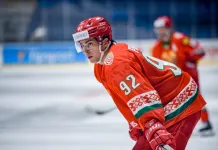 Евгений Забуга: Натурализация помогла Беларуси повысить конкурентоспособность и вырастить квалифицированную молодежь