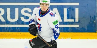 Российский форвард с опытом игры в Северной Америке и КХЛ официально перешел в «Гомель»