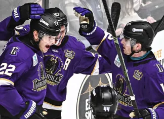 ECHL. Дебютная шайба Борщева, «-2» у Яваша, Цулыгин вне заявки — статистика белорусов 6 декабря