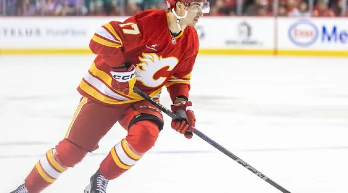 Егор Шарангович отметится результативной игрой против «Юты»: ставка от Betera с коэффициентом 2.45