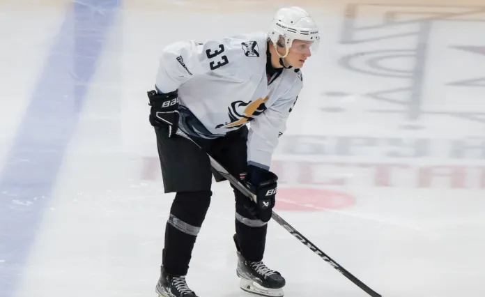 МХЛ. «Тайфун» с двумя белорусами уступил «Академии СКА», полезная игра Артема Гулько. Итоги 10 декабря