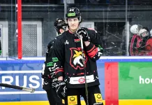 «Шахтер» и «Гомель» могут совершить обмен