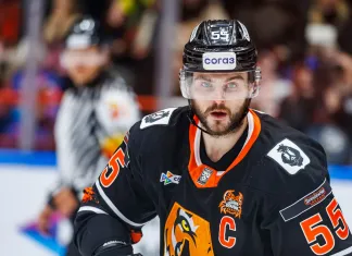 Матчи КХЛ на 17 декабря. «Амур» — «Адмирал», «Сочи» — «Металлург»