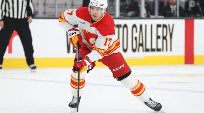 НХЛ. Неудачные игры Протаса и Шаранговича, Левшунов и Колячонок вне заявки – статистика белорусов 17 декабря