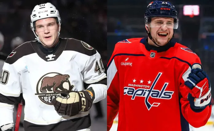 Братья Протасы синхронно отличились в НХЛ и АХЛ