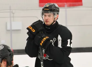 Игроки ECHL официально объявили забастовку