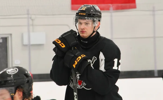 Игроки ECHL официально объявили забастовку