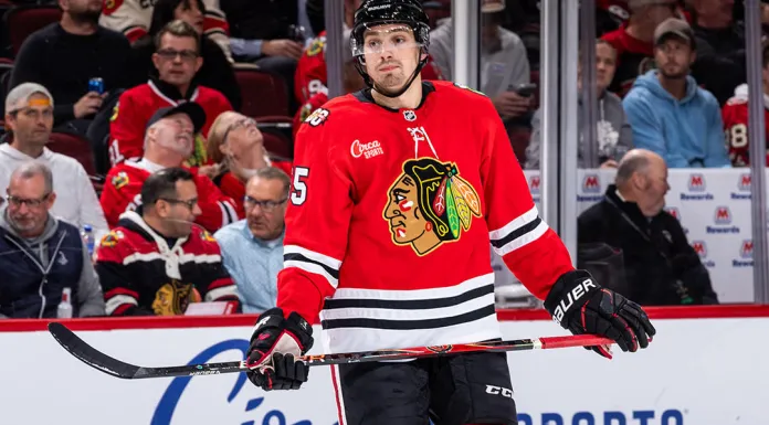 НХЛ. Алексей Протас и Артём Левшунова отметились голами – статистика белорусов 2 января