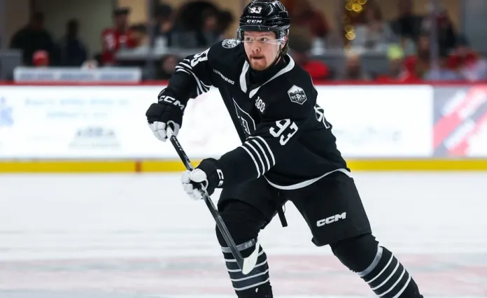 АХЛ. Протас прервал серию без очков, Кузьмин набрал два балла — статистика белорусов 4 января