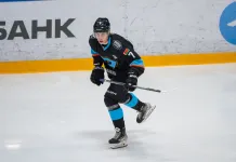 Молодой нападающий Бородулин продолжит карьеру в родном «Химике»