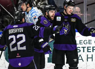 ECHL. Ассист Артёма Борщева, Яваш и Цулыгин вне заявок — статистика белорусов 11 января