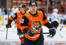 «Амур» и «Нефтехимик» произвели обмен хоккеистами