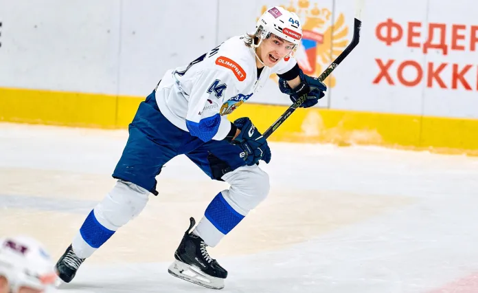 ВХЛ. Первое очко Омелюсика в сезоне, победный матч Микановича – статистика белорусов 14 января