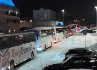 Колонна автобусов с болельщиками минского «Динамо» попала на видео. Фанаты едут в Москву