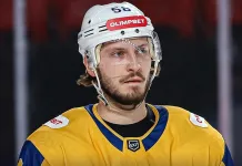 Защитник с опытом игры в КХЛ пополнил состав «Славутича»