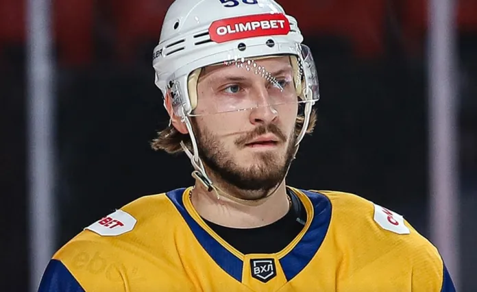 Защитник с опытом игры в КХЛ пополнил состав «Славутича»