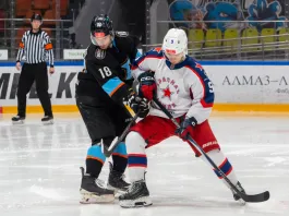 МХЛ. «Динамо-Шинник» сыграет с «Красной Армией» в Москве. Трансляция 22 января