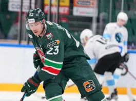 Минское «Динамо» заинтересовано в обмене чешского форварда Яшкина