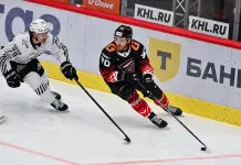 Матчи КХЛ на 29 января. «Сибирь» — «Динамо-Минск», «Авангард» — «Трактор», «Шанхай» — «Сочи», «Амур» — «Автомобилист»