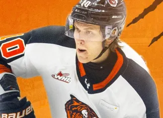 CHL. Удачный матч Ярослава Брызгалова и другие результаты белорусов 1 февраля