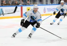 Артем Демков разобрал эпизод с удалением Сергея Кузнецова в матче с «Металлургом»