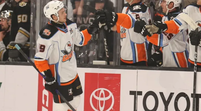 АХЛ. Сидоров забросил 13-ю шайбу, Протас нанес 5 бросков – статистика белорусов 5 февраля