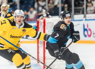 КХЛ выделила сильные стороны минского «Динамо» и череповецкой «Северстали» перед очным матчем