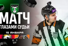 «Красавчик, правда на твоей стороне». Матч «Гомель» — «Шахтёр» показали глазами судьи