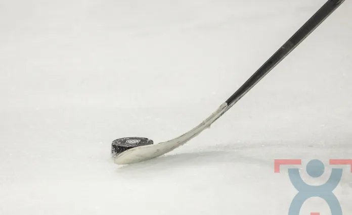 В США на хоккейном матче произошла стрельба. Есть жертвы