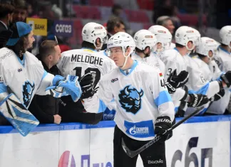 Руслан Васильев: Минское «Динамо» совершенно точно представило себя Тузиком, что уже веками рвёт на части метафорическую грелку