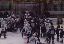 Видео: Массовая драка после матча «Динамо-Шинник» – «Динамо Санкт-Петербург»