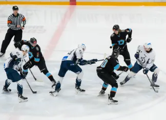 «Эмоции кипели»: Эксперты разобрали массовую драку в МХЛ с участием «Динамо-Шинника»