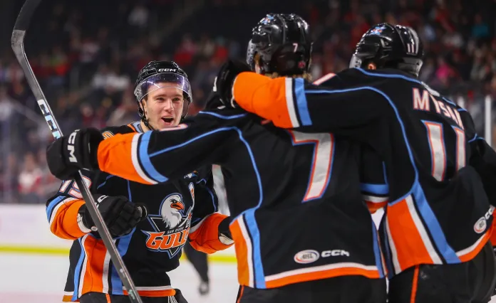 АХЛ. Голы Протаса и Сидорова, передача Колячонка, Кузьмин отметился ассистом — статистика белорусов 1 марта