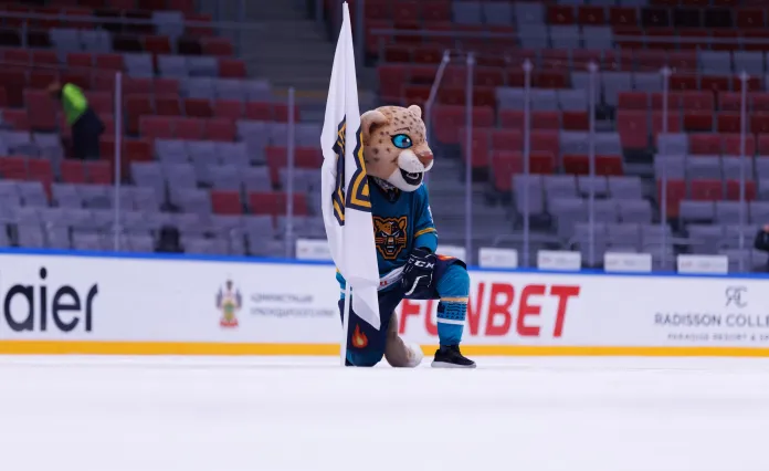 Матч «Сочи» — «Торпедо» прерван из-за угрозы атаки БПЛА, зрителей эвакуировали