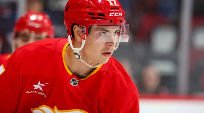 Егор Шарангович отметится голом в игре против «Далласа»: ставка от Betera с коэффициентом 3.60