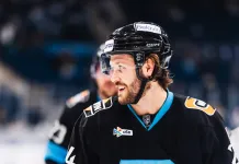 Эксперты разобрали отменённую шайбу минского «Динамо» в матче с «Металлургом»