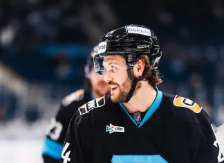 Эксперты разобрали отменённую шайбу минского «Динамо» в матче с «Металлургом»