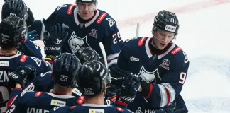 Определился пятнадцатый участник Кубка Гагарина-2026