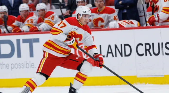 НХЛ. Шайба Шаранговича, 100-й ассист Протаса, победный матч Толопило – статистика белорусов 13 марта