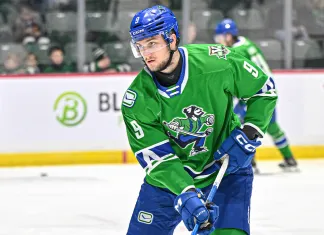 АХЛ. Климович стал второй звездой матча, Колосов отразил 20 бросков, Протас вне заявки — статистика белорусов 16 марта