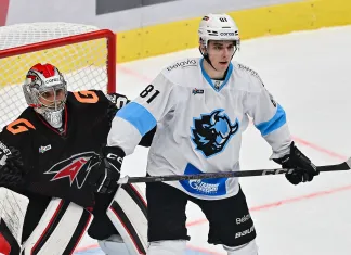 Букмекеры оценили шансы минского «Динамо» в домашнем матче против «Авангарда»