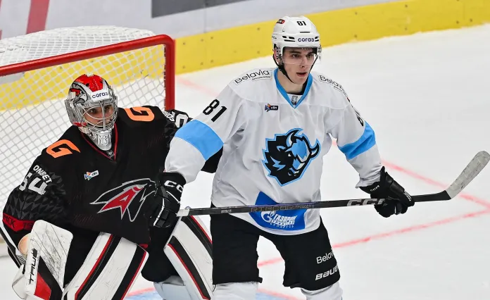 Букмекеры оценили шансы минского «Динамо» в домашнем матче против «Авангарда»