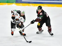 Кубок Президента. 1/4 финала. «Гомель» примет «Шахтер», «Металлург» встретится со «Витебском». Трансляции