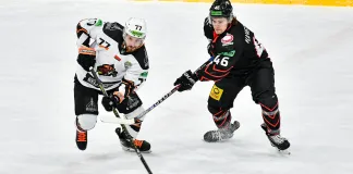 Кубок Президента. 1/4 финала. «Гомель» примет «Шахтер», «Металлург» встретится со «Витебском». Трансляции