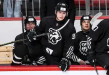 МХЛ. Ассист Владимира Сивирчукова, четыре броска Степана Степанова – статистика белорусов 19 марта