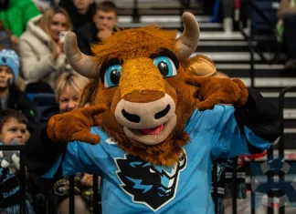 От 60 до 750 рублей: минское «Динамо» объявило цены на билеты в домашних матчах плей-офф