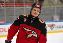 МХЛ. Степан Степанов разжился ассистом, Матвей Никонович сыграл надежно, но «Ладья» все равно уступила. Итоги 22 марта