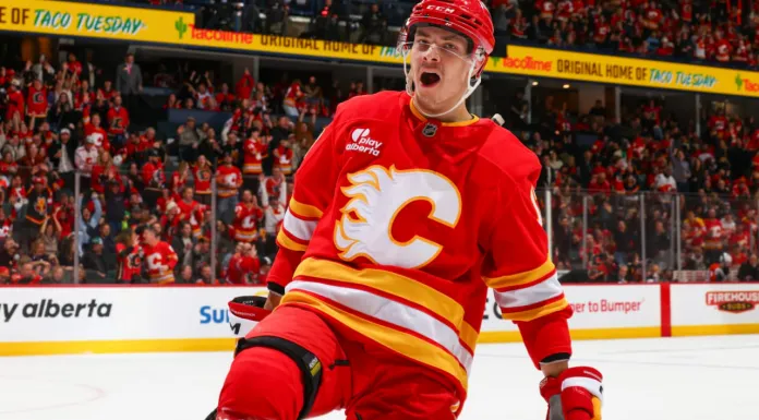 НХЛ. Ассист Егора Шаранговича, пять хитов Артема Левшунова, пять бросков Алексея Протаса – статистика белорусов 23 марта